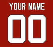 Jersey Customization - Customize Your Jersey! (Please Read Full Description Below)