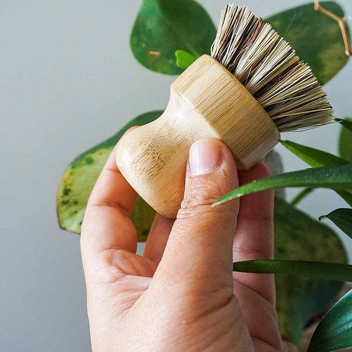 &Keep Pot Brush