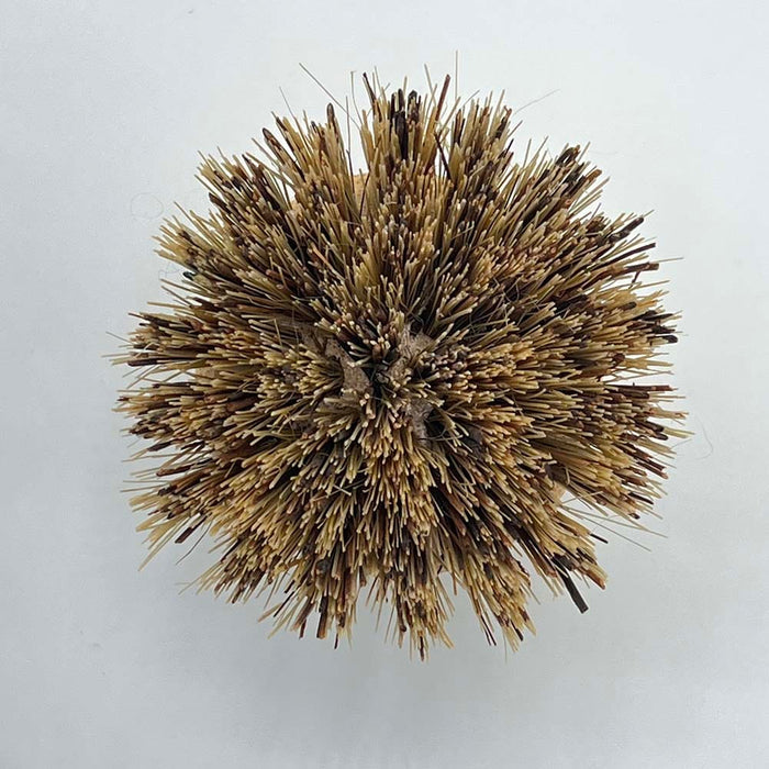 &Keep Pot Brush